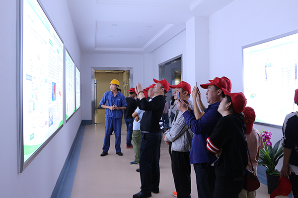 1598232988780342.jpg 11b5dd380ed9ac8665b7db6af631a7c.jpg