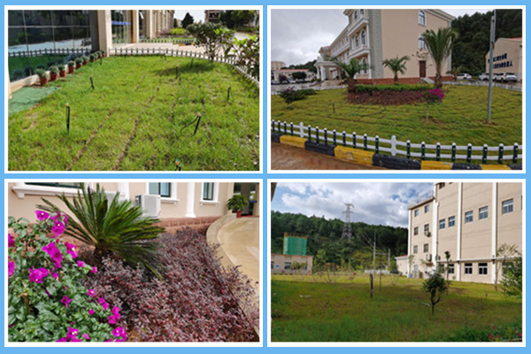 1604296505975635.jpg 1.jpg