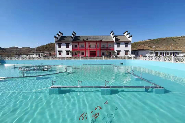 1612496338139816.jpg 8.jpg