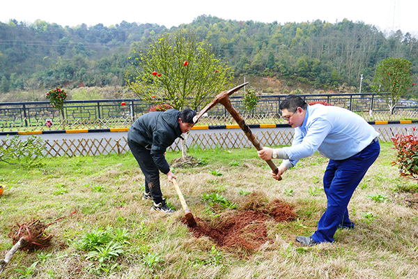 1615700458327675.jpg L1110651.jpg