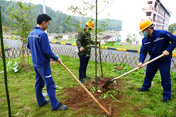 1615700464732348.jpg L1110616.jpg