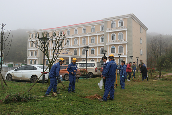 1616141808327928.jpg IMG_8462.JPG