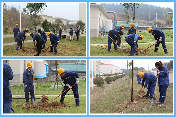 1647345112157954.jpg 2.jpg