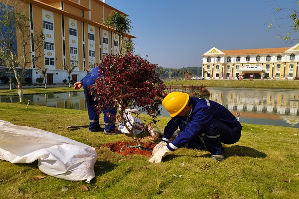 1647345658289612.png 圖片2.png